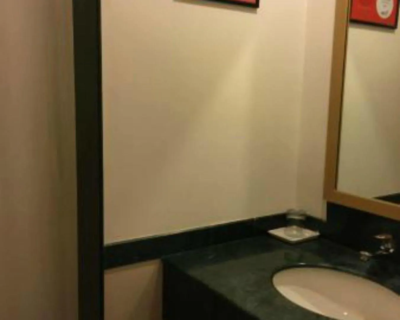 Red Fox By Lemon Tree Hotels, Delhi Airport New Delhi Hotel